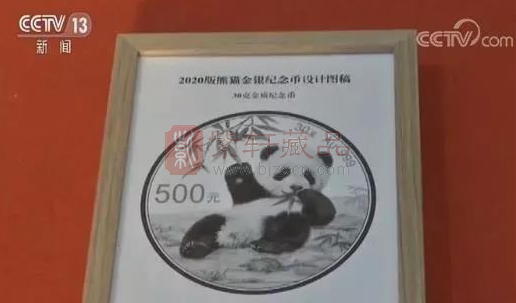 10月9日2020版熊猫普制金币图案与观众正式见面，这也是央行首次在发行熊猫金币公告前，就将图案展现在观众面前。